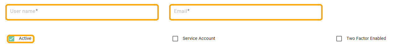 The User name and Email fields and the Active checkbox on the User Details tab, highlighted