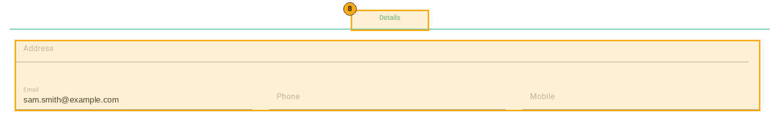 Details tab and its optional fields highlighted